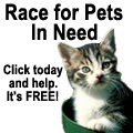 [Help pets in need]
