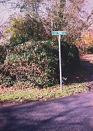[Lily Pond Lane]