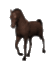 [Animated New Pony]